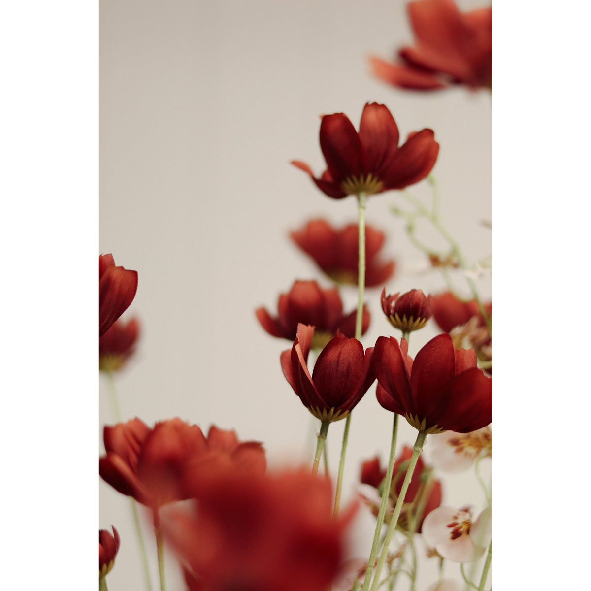 Rust Red Calliopsis Spray - LC Design Co. Shoppe