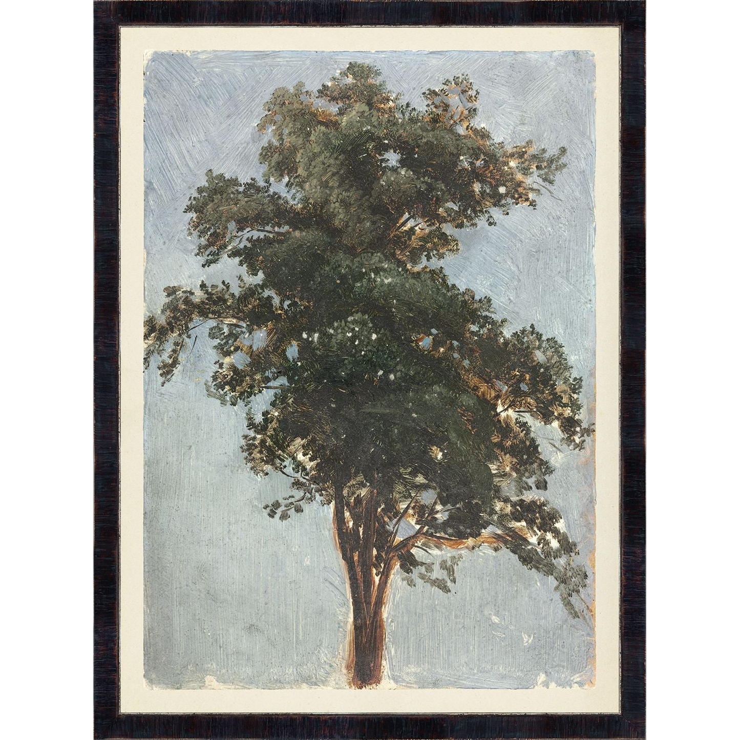 Tree Study Art