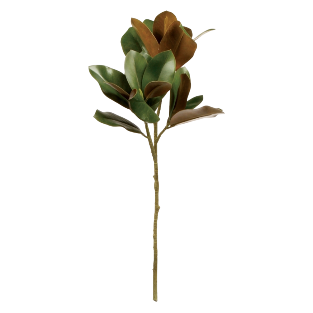 Grand Magnolia Leaf Stem