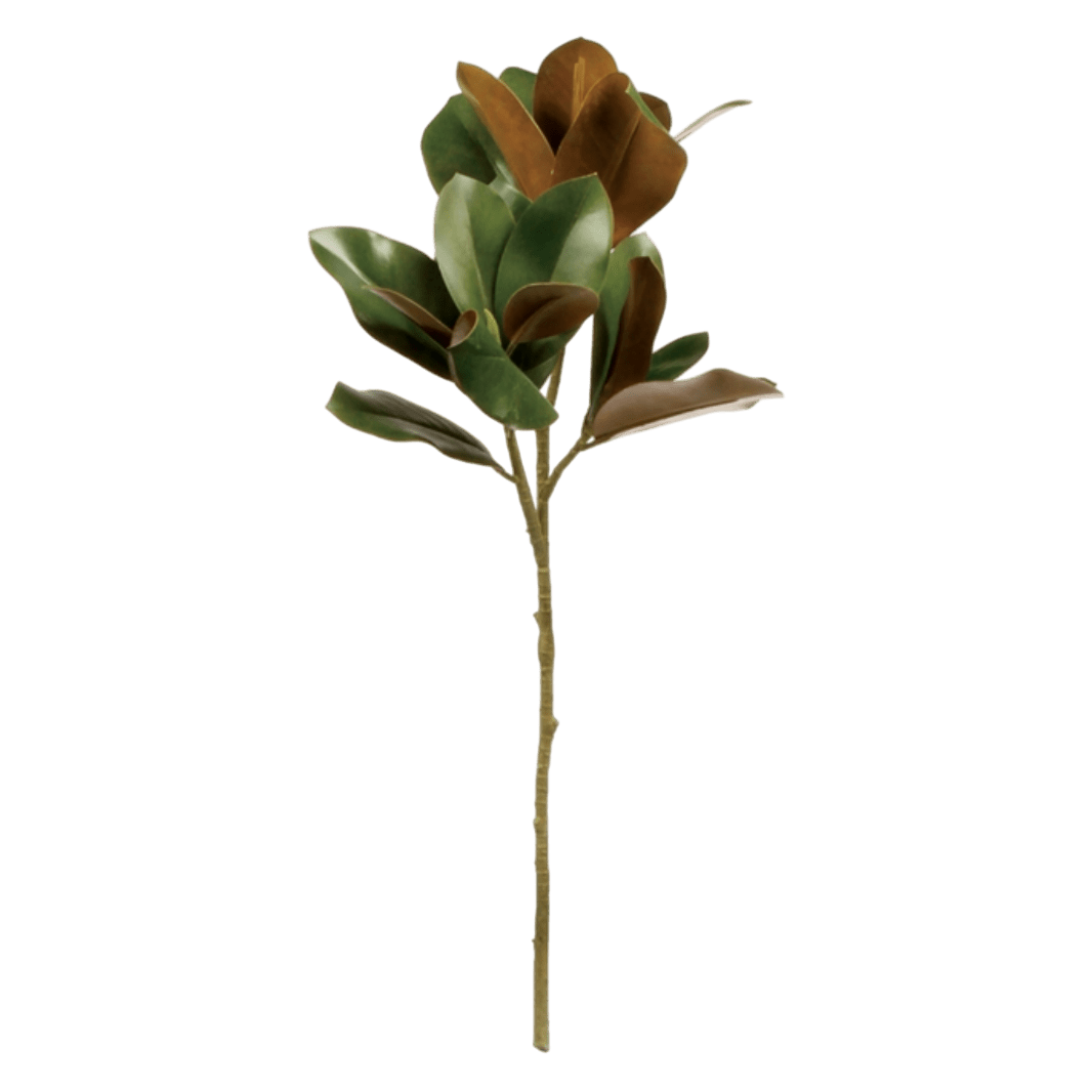 Grand Magnolia Leaf Stem - LC Design Co. Shoppe