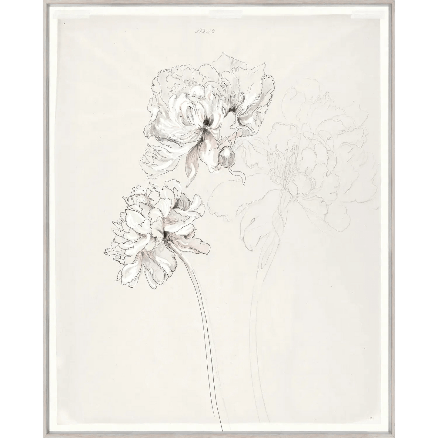 Drawing Study Peonies Art - LC Design Co. Shoppe