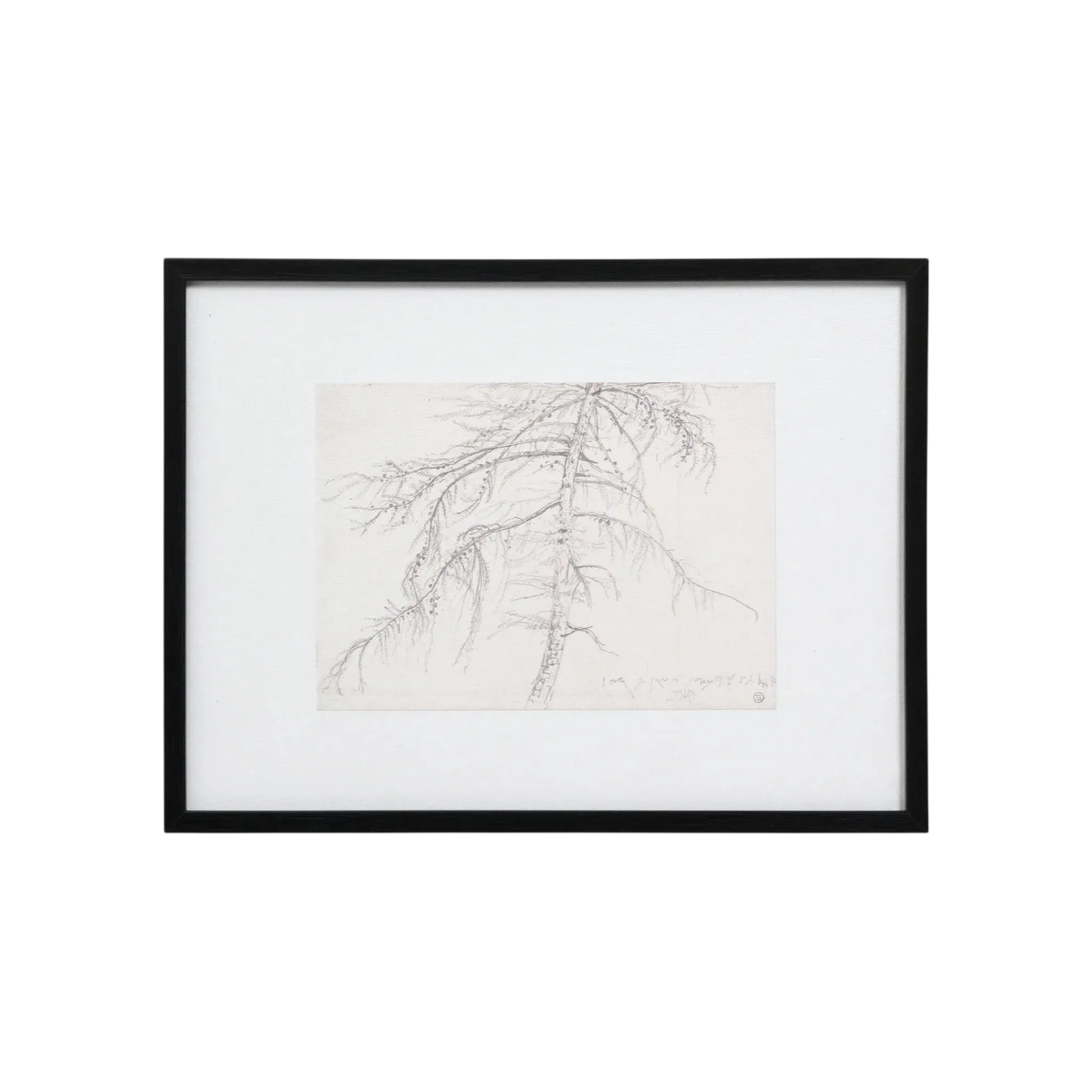 Tree Sketch Wall Art