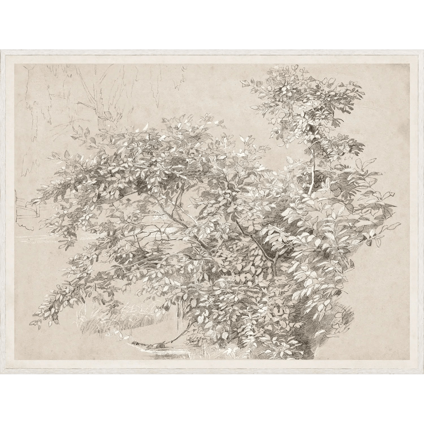 Graphite & Gouache Study Art - LC Design Co. Shoppe