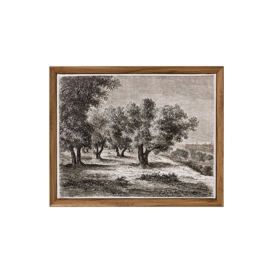 Olive Tree Wall Art