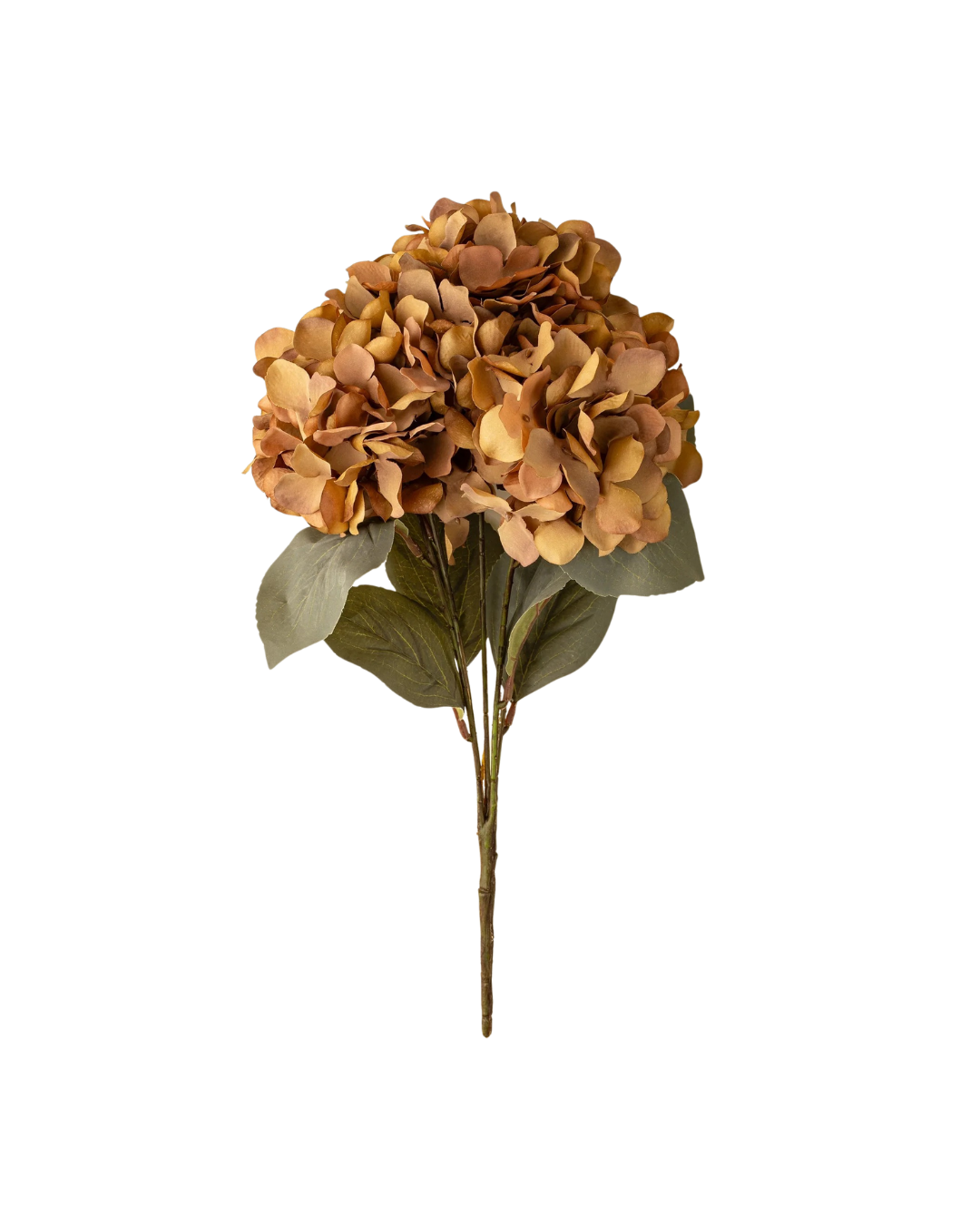 Autumn Hydrangea Spray