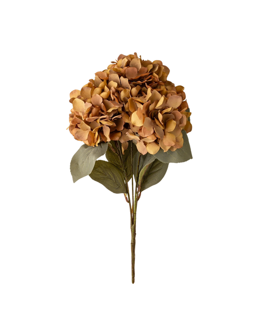 Autumn Hydrangea Spray