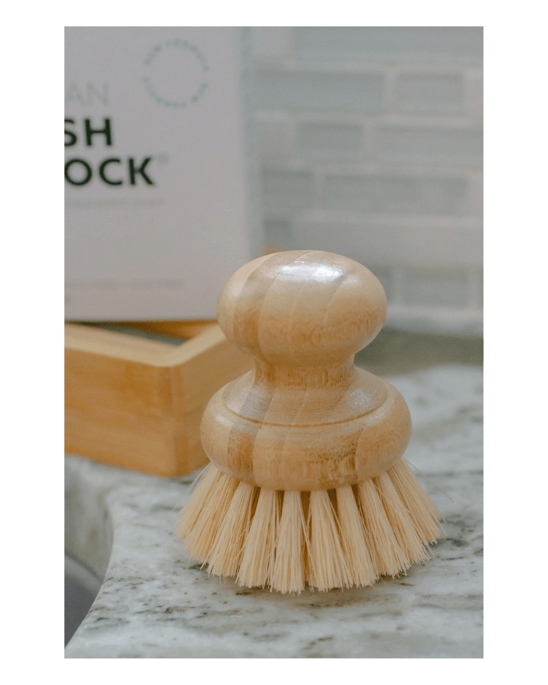 Casa Agave Dish Brush - LC Design Co. Shoppe