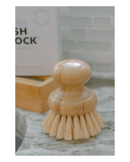 Casa Agave Dish Brush - LC Design Co. Shoppe