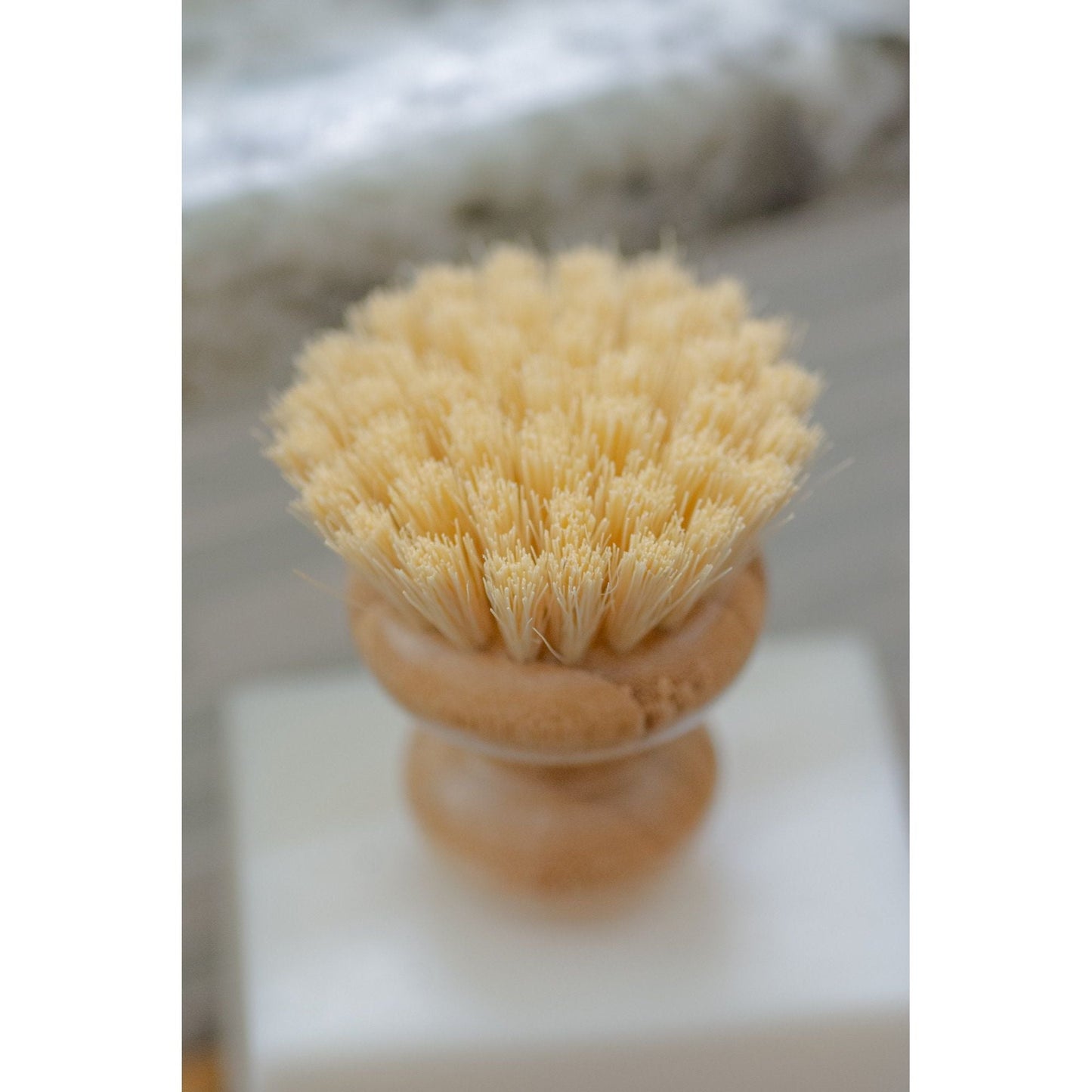 Casa Agave Dish Brush - LC Design Co. Shoppe