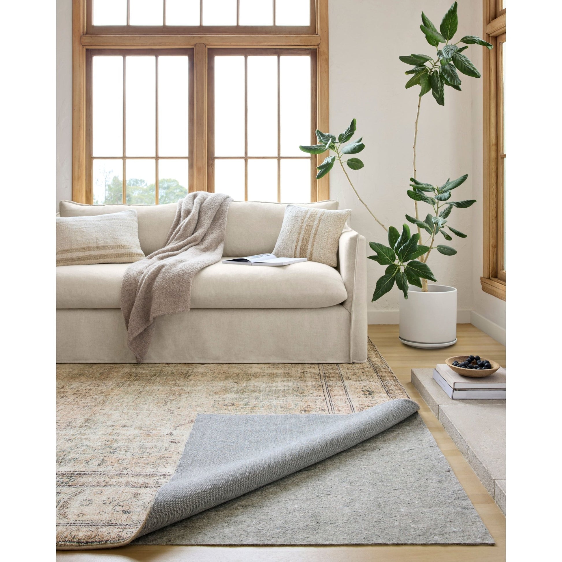 Cushion Grip All Surface 1/8" Rug Pad - LC Design Co. Shoppe