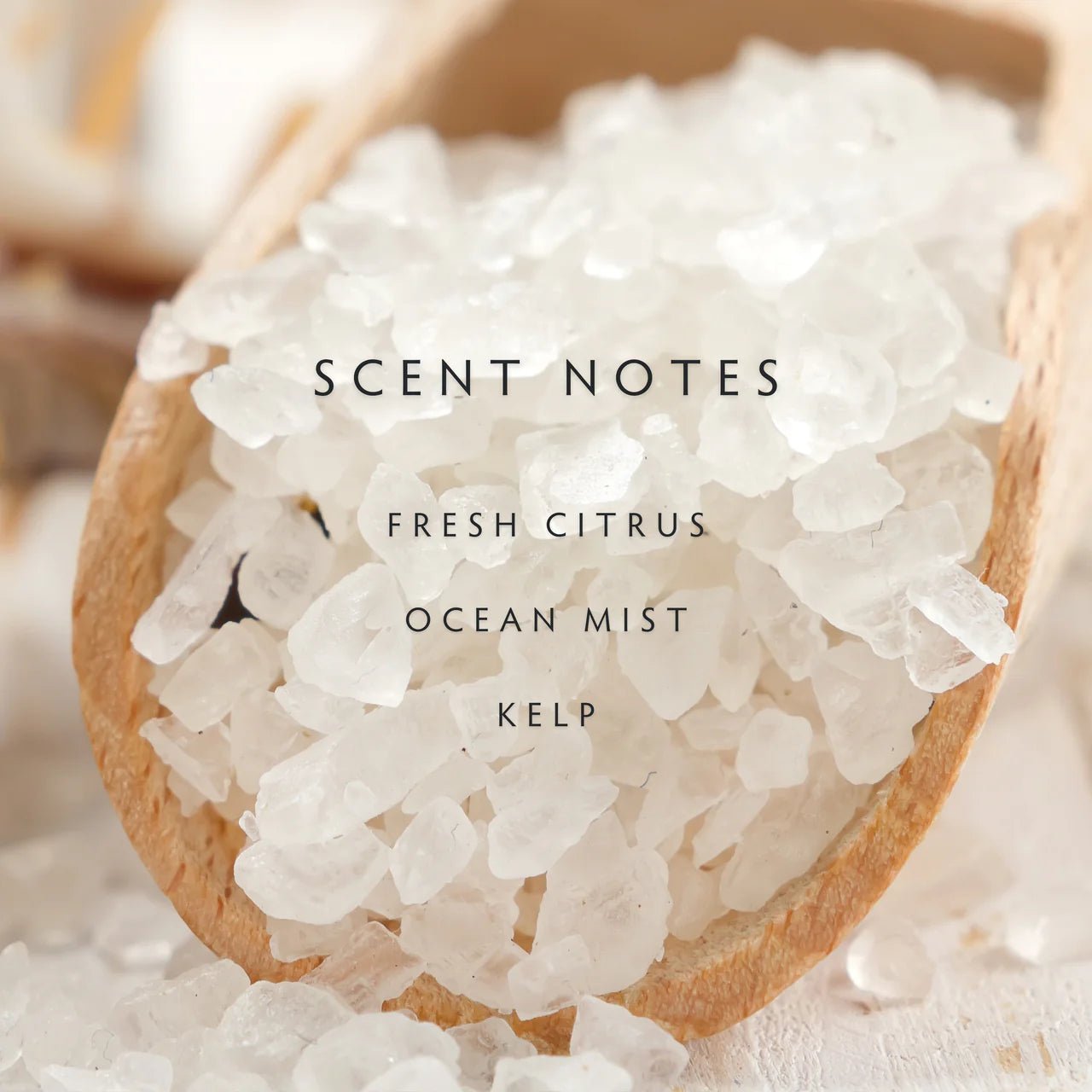 Linnea Candle - Sea Salt - LC Design Co. Shoppe