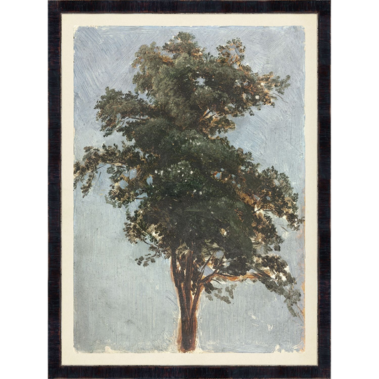 Tree Study Art