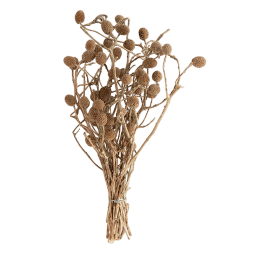 Dried Natural Bora Bunch - LC Design Co. Shoppe