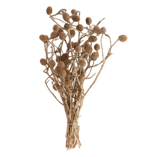 Dried Natural Bora Bunch