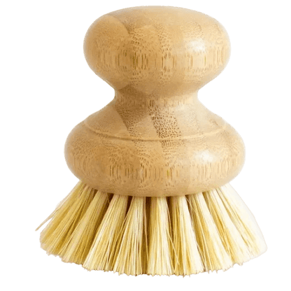 Casa Agave Dish Brush - LC Design Co. Shoppe