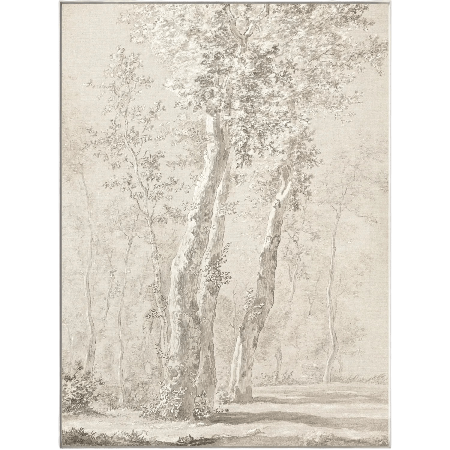 Sunlit Trees Art - LC Design Co. Shoppe