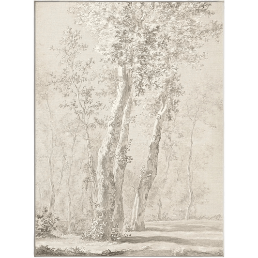Sunlit Trees Art - LC Design Co. Shoppe