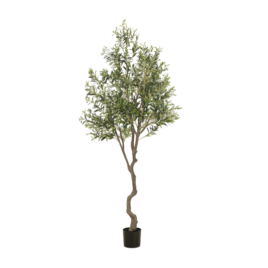 Faux Olive Tree