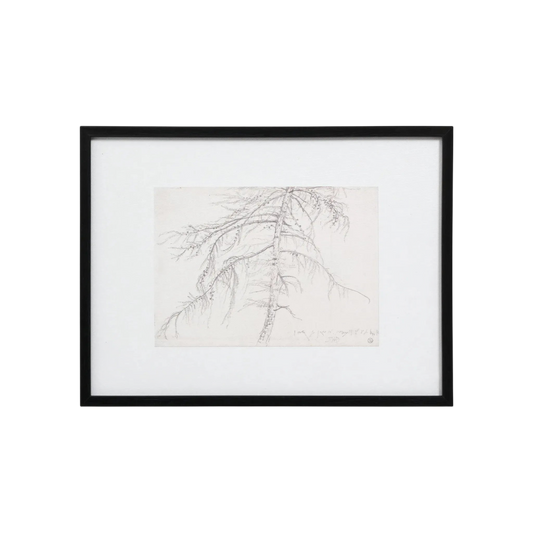 Tree Sketch Wall Art