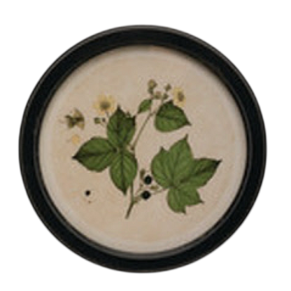 Vintage Garden Framed Art
