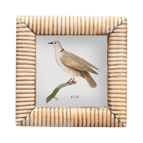 Bone Frame - LC Design Co. Shoppe