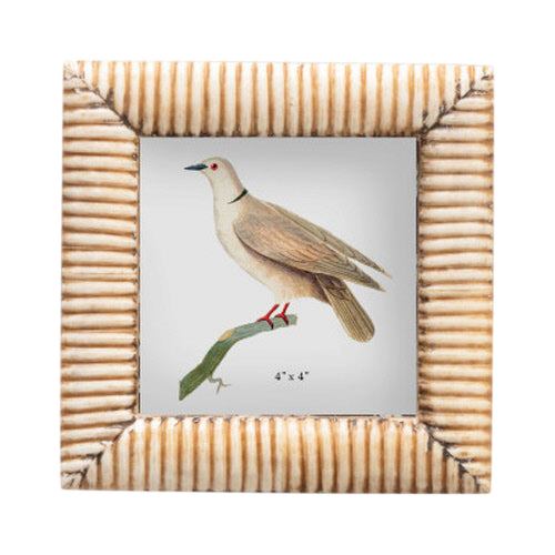 Bone Frame
