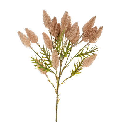 Pussytail Grass Spray - LC Design Co. Shoppe