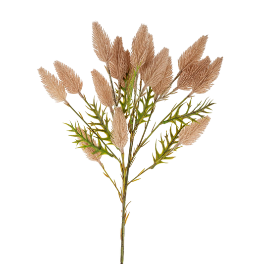 Pussytail Grass Spray - LC Design Co. Shoppe