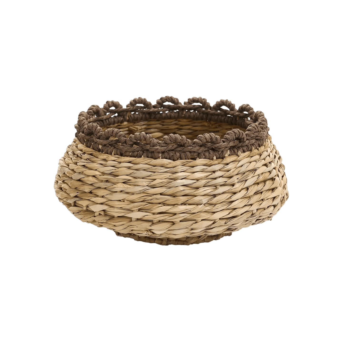 Isabel Grass Bowl - LC Design Co. Shoppe
