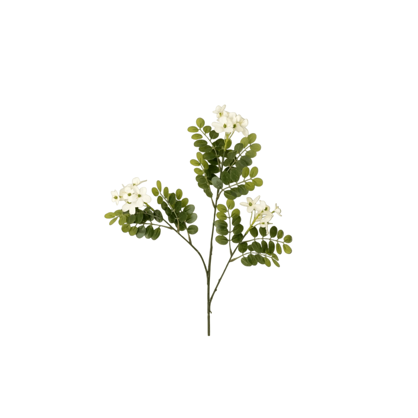 Locust Flower Branch - LC Design Co. Shoppe