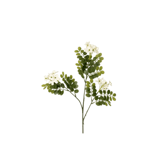 Locust Flower Branch - LC Design Co. Shoppe