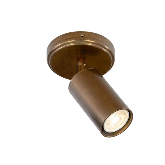 Evanston Directional Brass Light