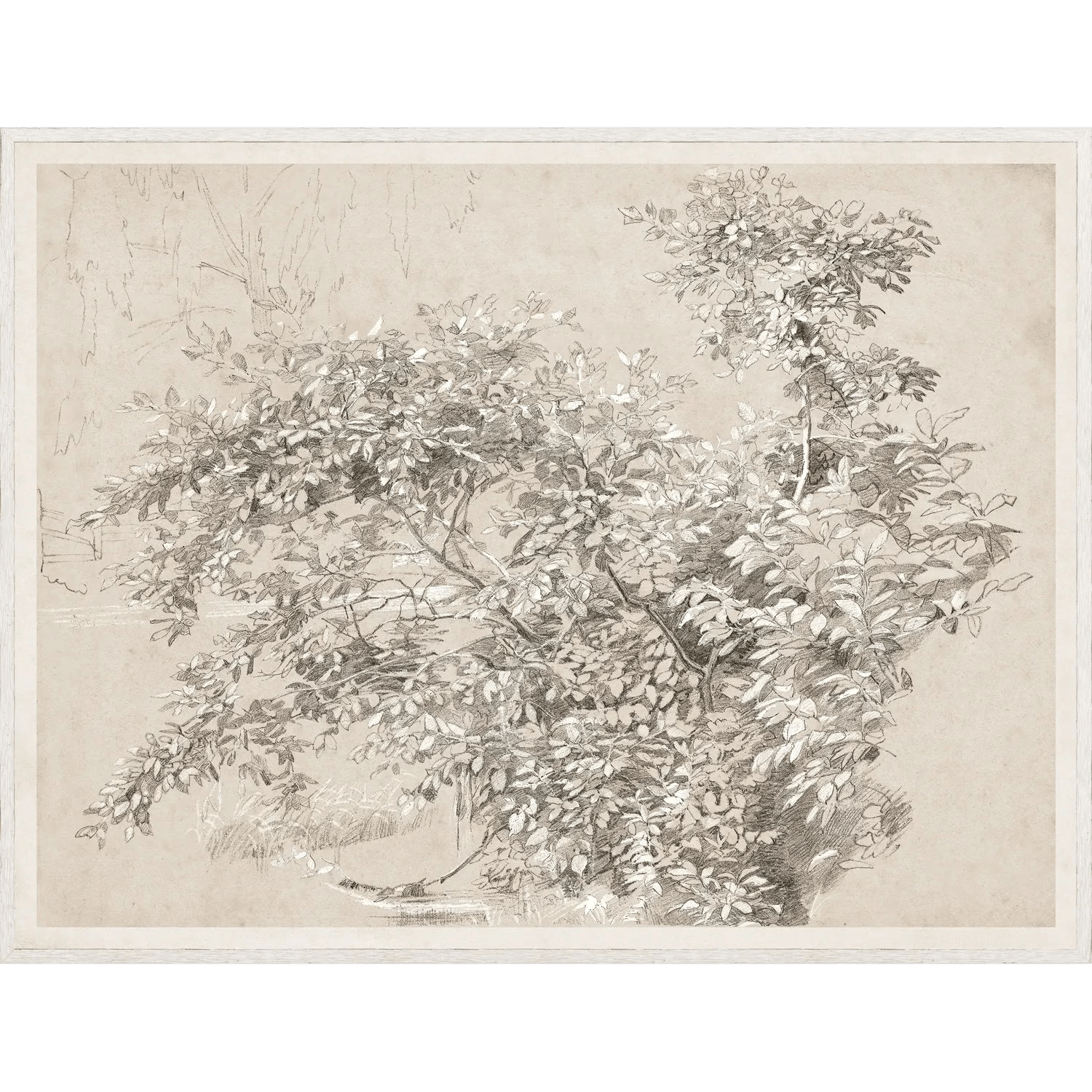 Graphite & Gouache Study Art - LC Design Co. Shoppe