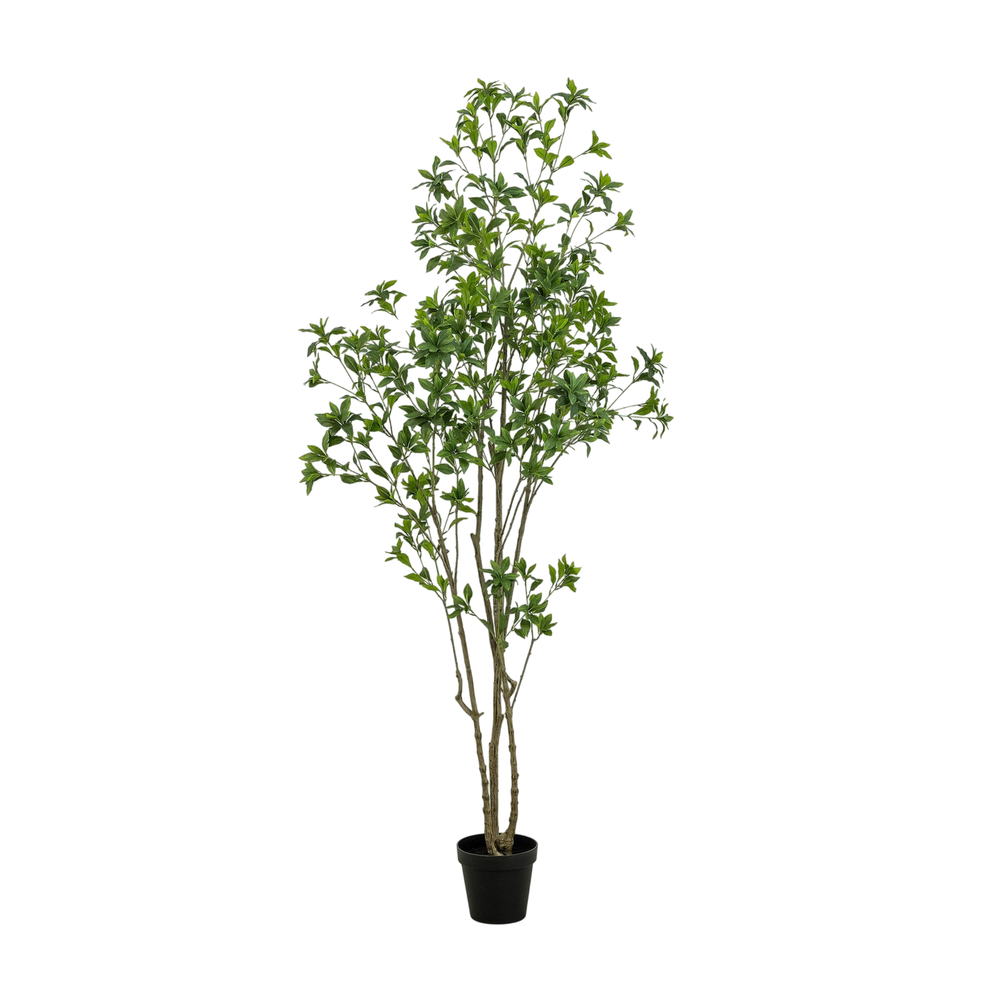 Faux Pieris Tree