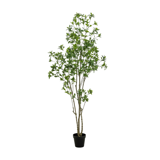 Faux Pieris Tree