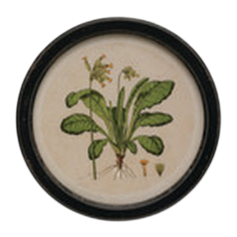 Vintage Garden Framed Art