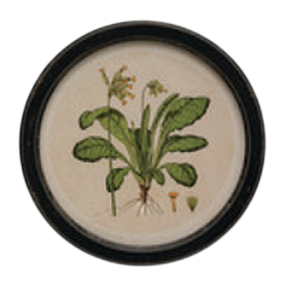 Vintage Garden Framed Art