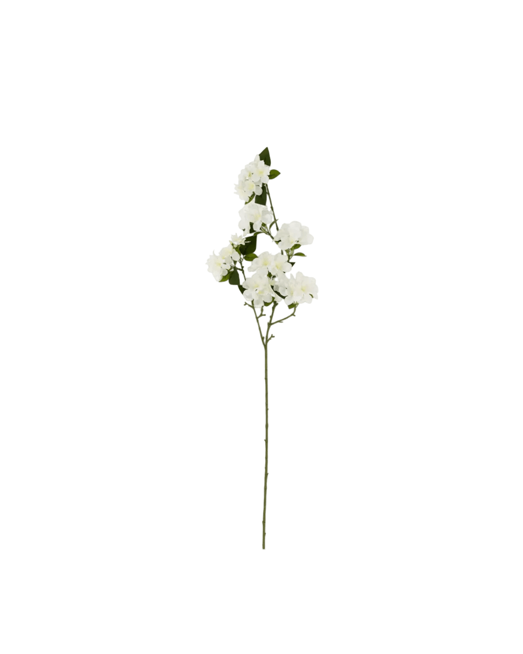Flowering Cherry Blossom Branch - LC Design Co. Shoppe