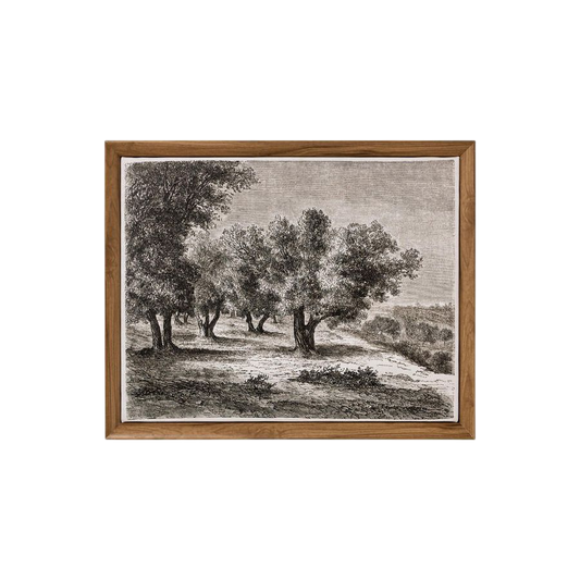 Olive Tree Wall Art