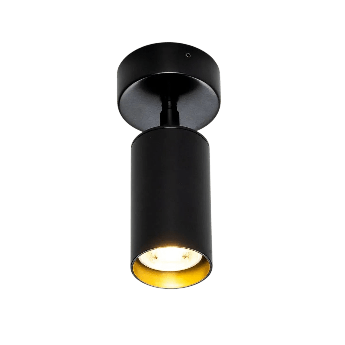 Evanston Directional Brass Light - LC Design Co. Shoppe