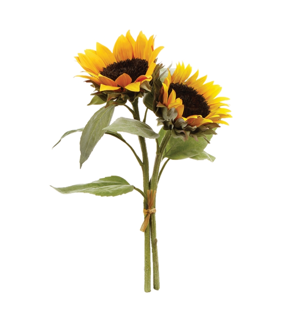 Sunflower stem deals